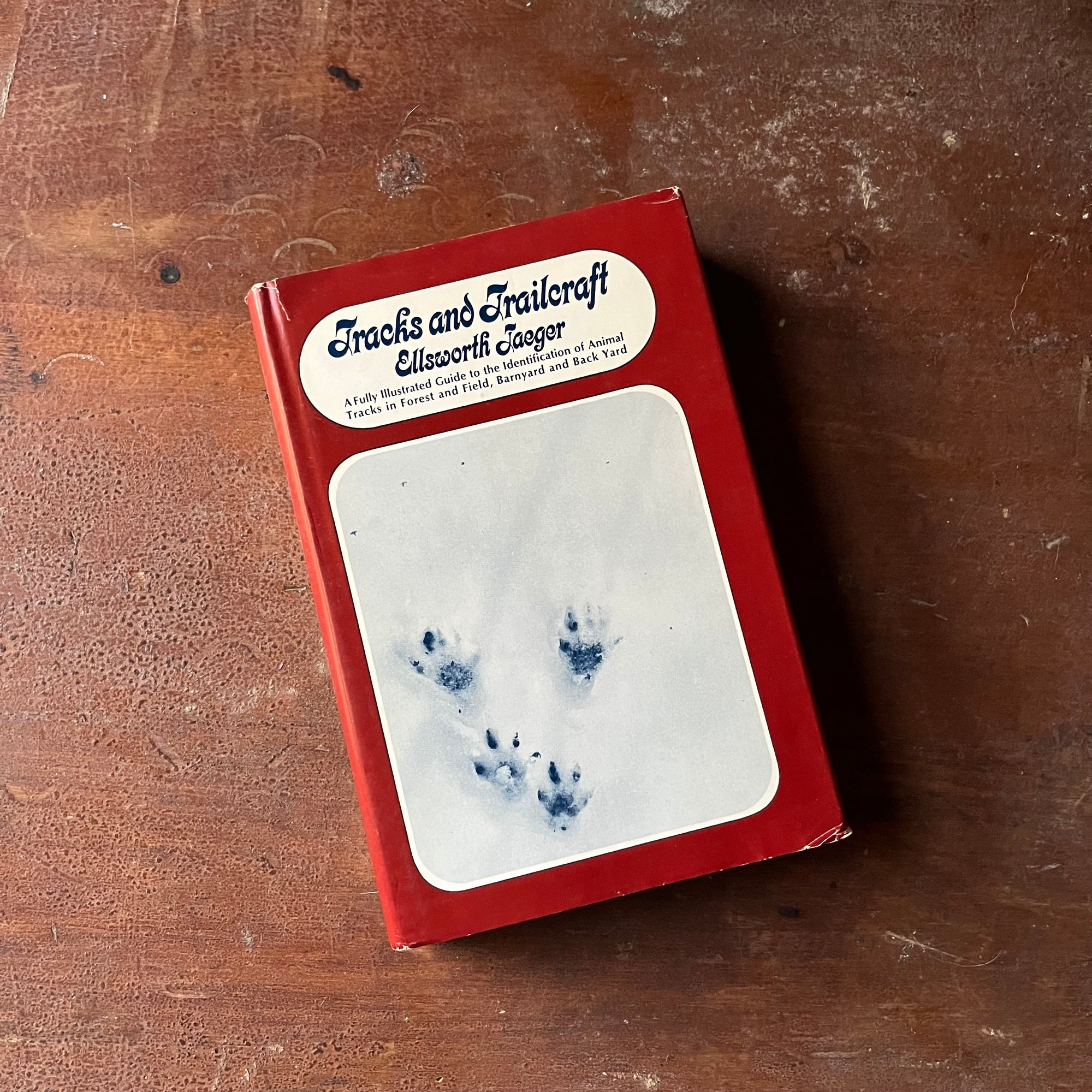 Log Cabin Vintage - vintage children's book - vintage nature book - identifying animal & bird tracks - Tracks and Trailcraft written and illustrated by Ellsworth Jaeger - view of the dust jacket with a photograph of animal tracks in the snow