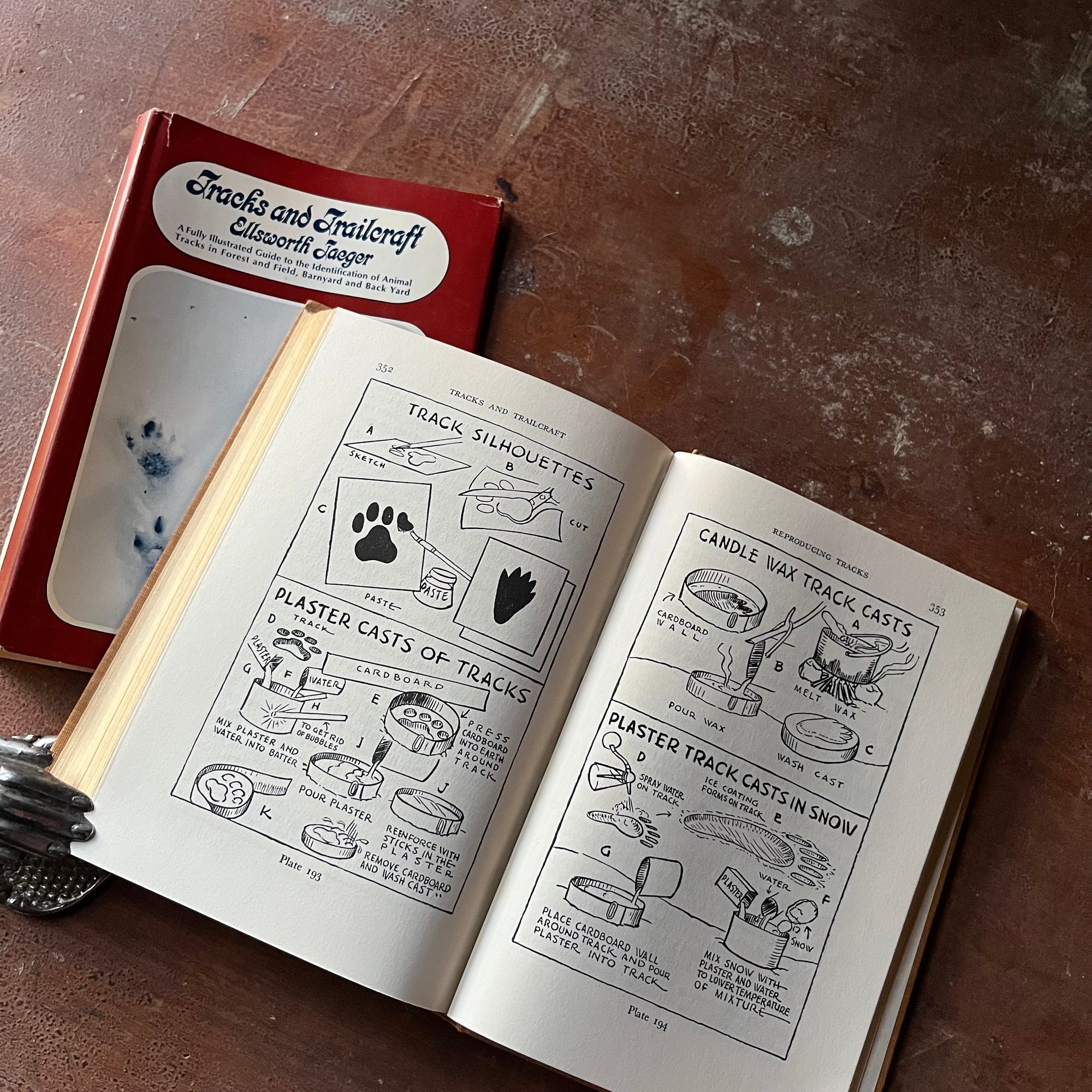 Log Cabin Vintage - vintage children's book - vintage nature book - identifying animal & bird tracks - Tracks and Trailcraft written and illustrated by Ellsworth Jaeger - view of the plaster trailcrafts in snow
