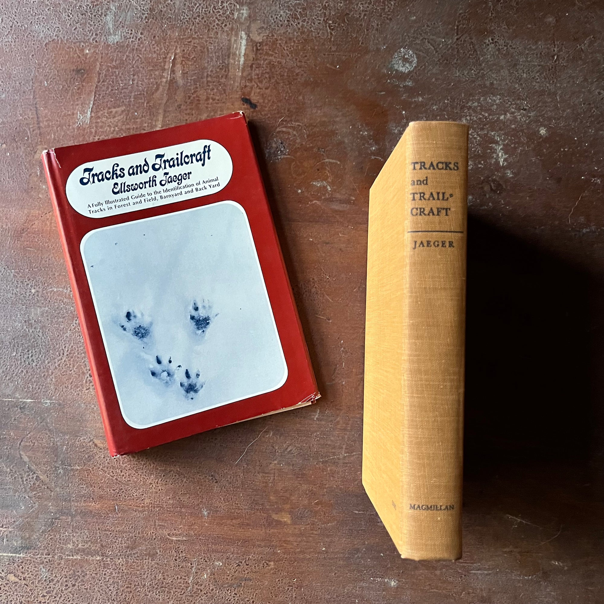 Log Cabin Vintage - vintage children's book - vintage nature book - identifying animal & bird tracks - Tracks and Trailcraft written and illustrated by Ellsworth Jaeger - view of the embossed spine with the title at the top