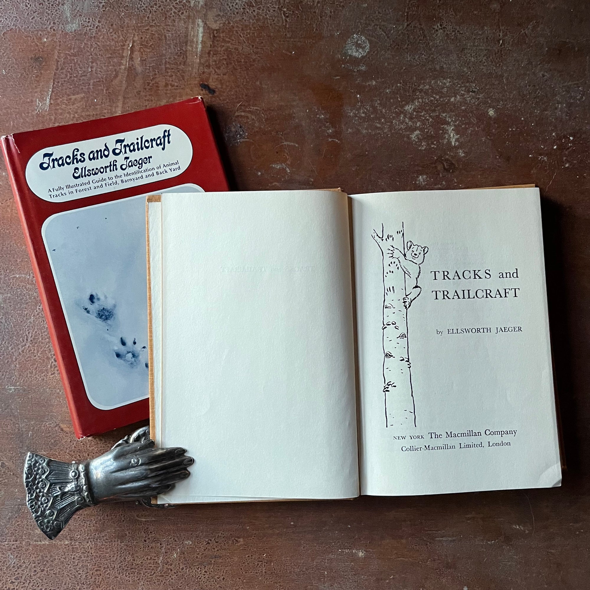 Log Cabin Vintage - vintage children's book - vintage nature book - identifying animal & bird tracks - Tracks and Trailcraft written and illustrated by Ellsworth Jaeger - view of the title page with an illustration of a koala climbing a tree
