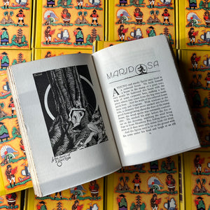 Travel and Adventure Library for Young Folks COMPLETE 15-Volume Set-1930's book set for children-stories around the world-view of a black & white illustration
