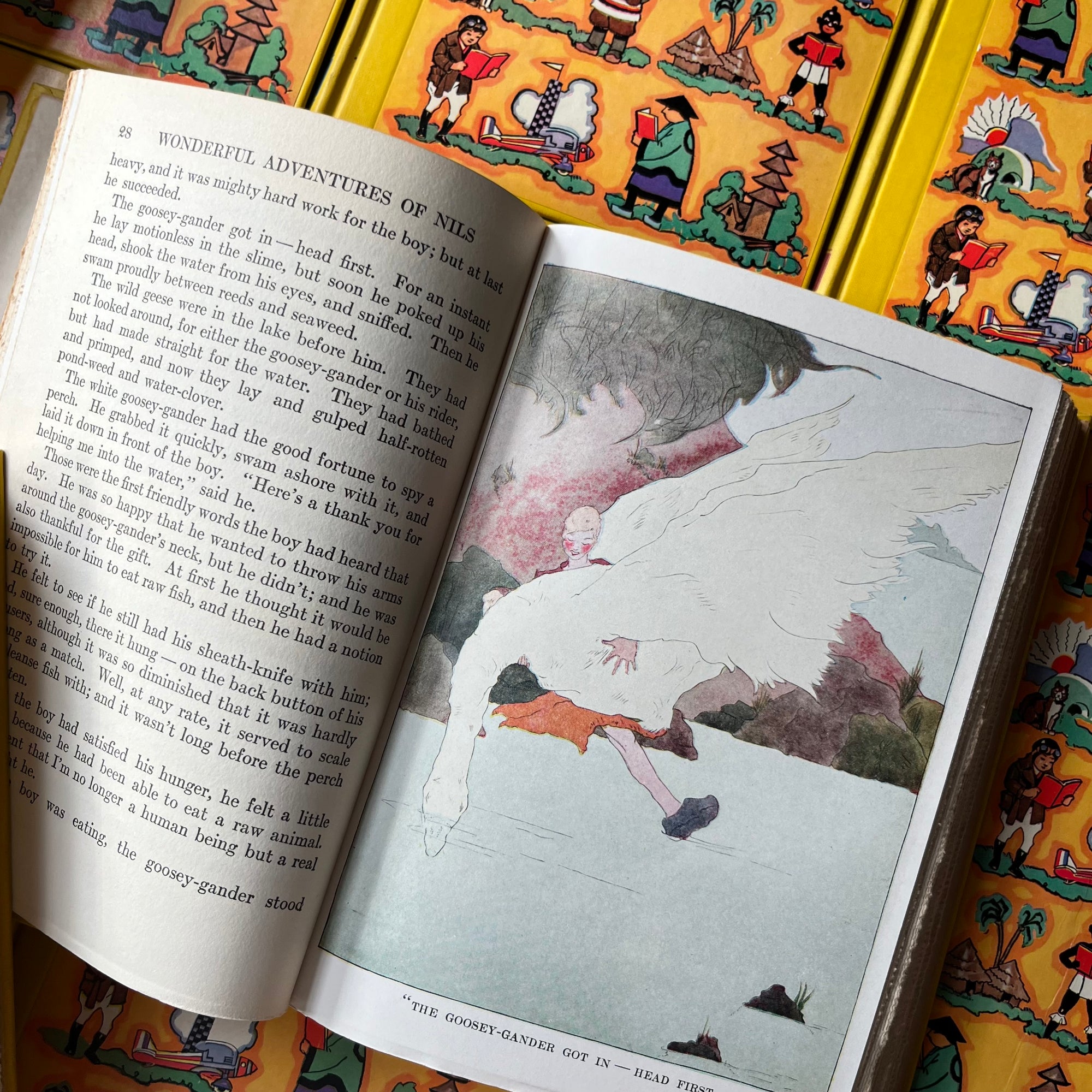 Travel and Adventure Library for Young Folks COMPLETE 15-Volume Set-1930's book set for children-stories around the world-view of a full-color illustration