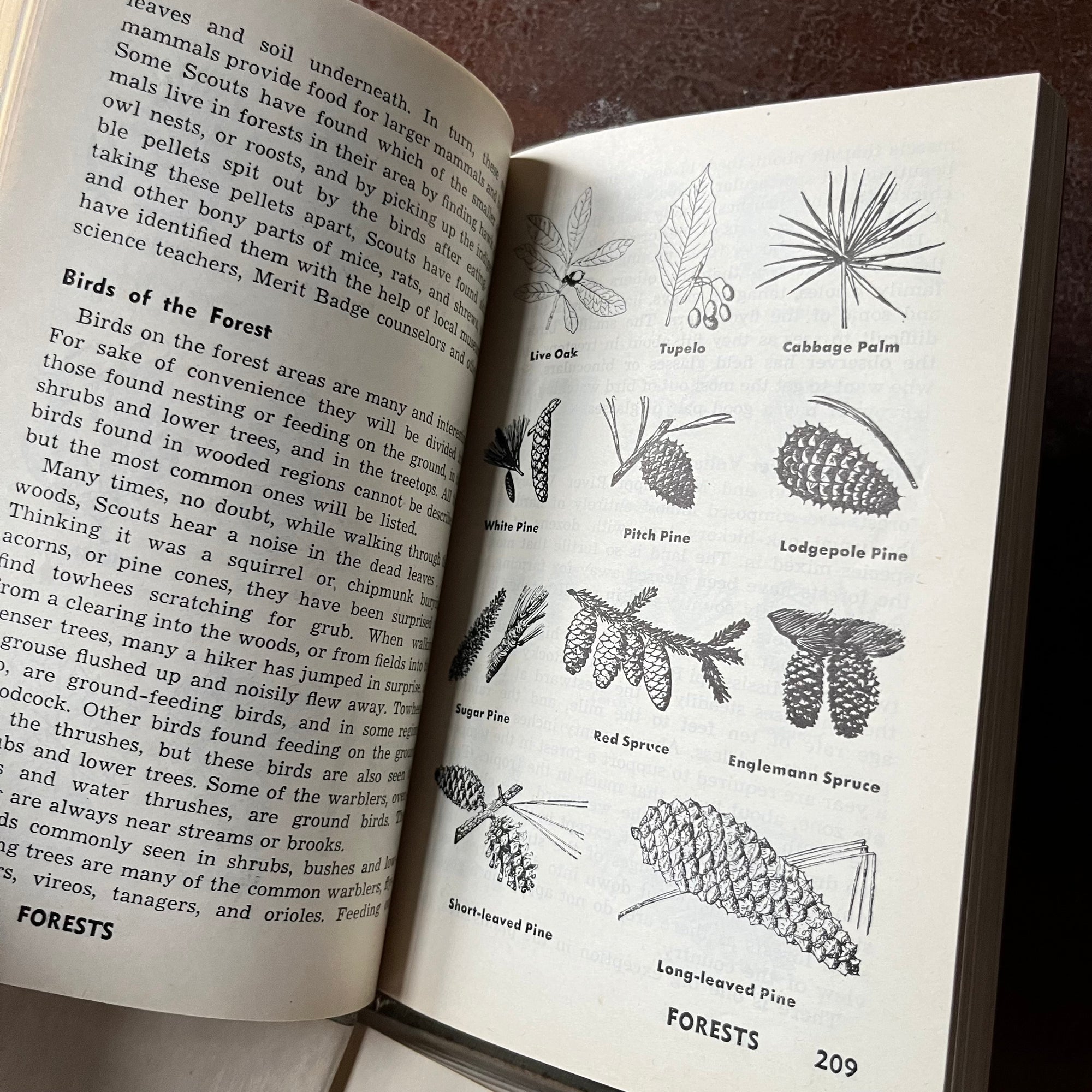 Vintage Boy Scout Book Bundle-Explorer Manual, Handbook for Boys, Boy Scout Games - view of the illustrations