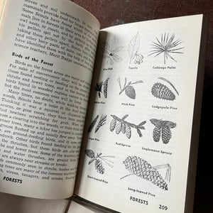Vintage Boy Scout Book Bundle-Explorer Manual, Handbook for Boys, Boy Scout Games - view of the illustrations