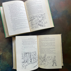 Vintage Lois Lenski American Regional Series-Corn Farm Boy and Blue Ridge Billy-vintage living books-children's chapter books-view of the illustrations