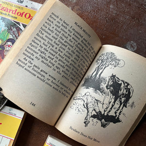 vintage children's chapter books, McDonald's Illustrated Classics - Set of 4 McDonald's Illustrated Classics Books:  The Wizard of Oz, The Adventures of Tom Sawyer, Black Beauty & A Christmas Carol - view of the black & white illustration sample of Black Beauty
