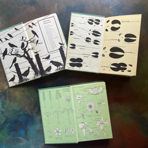 Vintage Peterson Field Guides-Birds of Britain and Europe-Mammals-Wildflowers-vintage nature guides-collectible nature guides-view of the inside covers