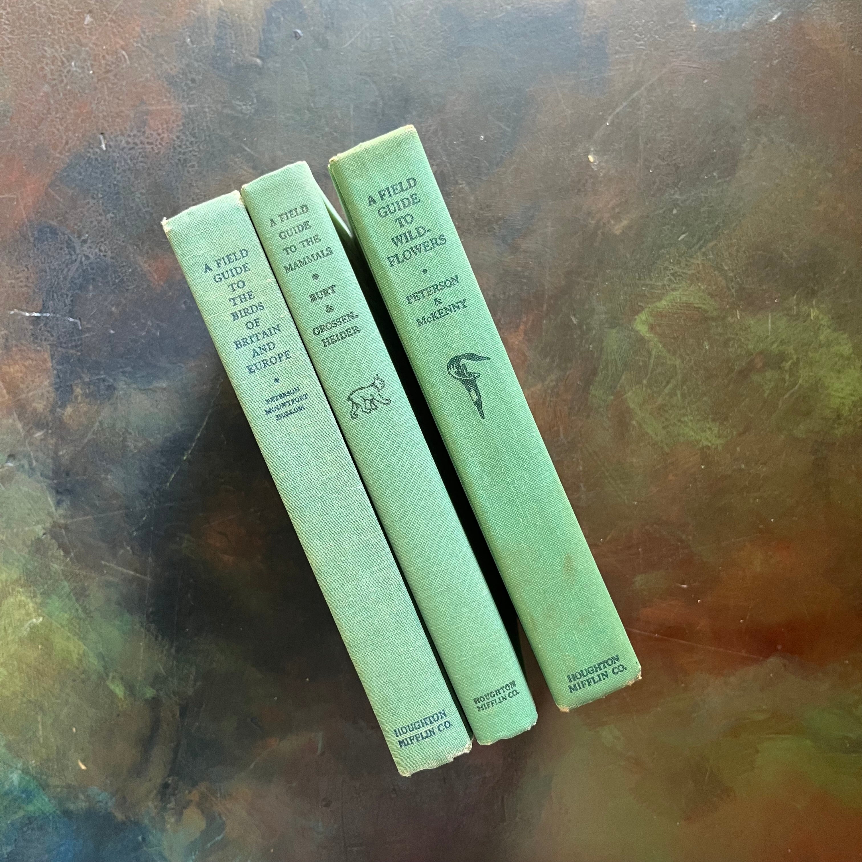 Vintage Peterson Field Guides-Birds of Britain and Europe-Mammals-Wildflowers-vintage nature guides-collectible nature guides-view of the front covers