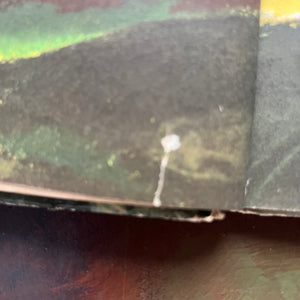 Walt Disney's Bambi- 1941 First Edition-vintage children's picture book-classic children's literature-view of a small tear on the frontispiece page opposite the title page