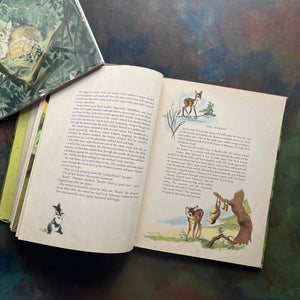 Walt Disney's Bambi- 1941 First Edition-vintage children's picture book-classic children's literature-view of a sampling of the illustrations in the book