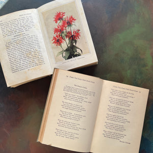 Wildflowers Every Child Should Know-Poems Every Child Should Know-vintage books for children-view of the photographs and inside content
