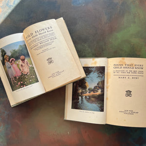 Wildflowers Every Child Should Know-Poems Every Child Should Know-vintage books for children-view of the title pages
