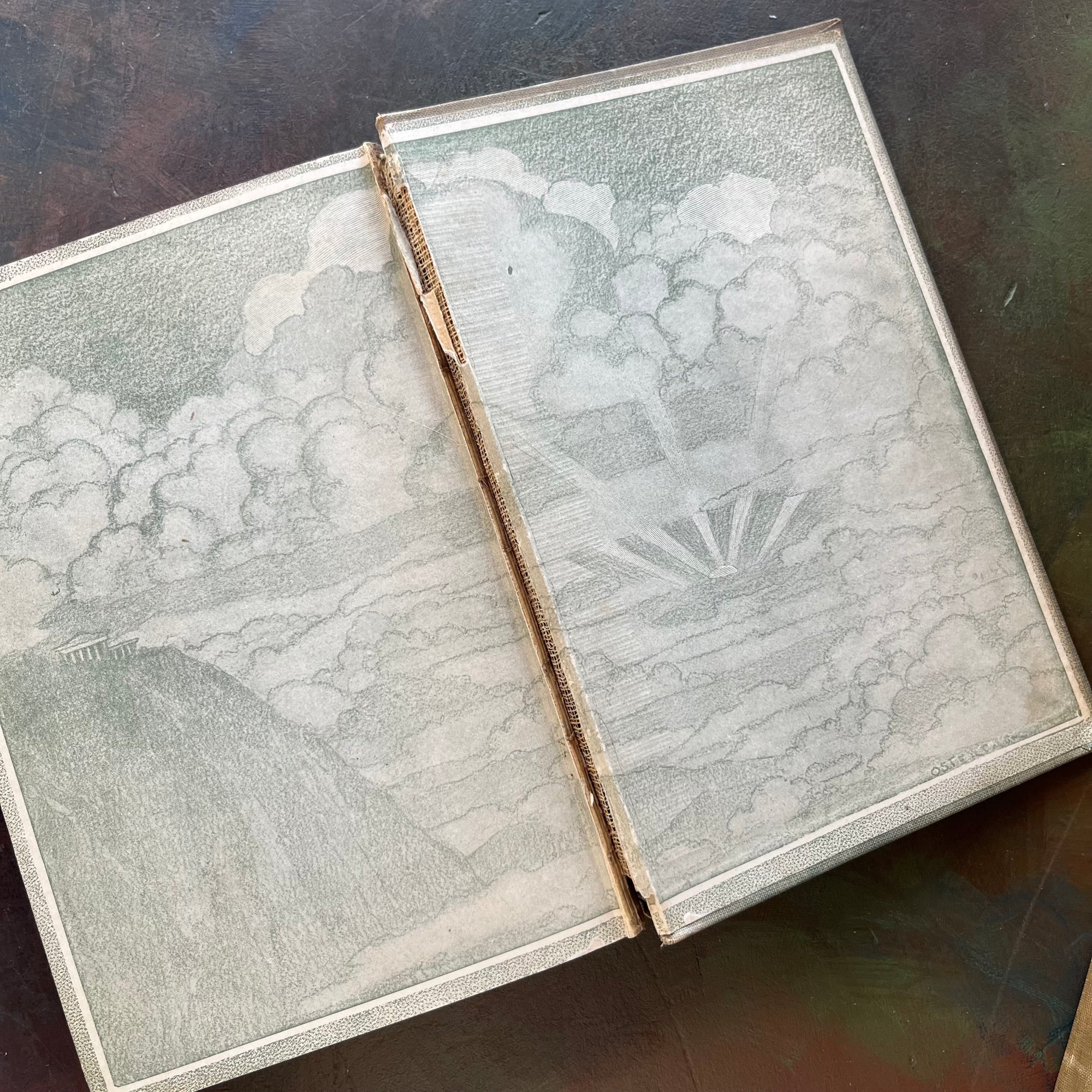 Wildflowers Every Child Should Know-Poems Every Child Should Know-vintage books for children-view of the crack at the inside spine on the back inside cover of Poems