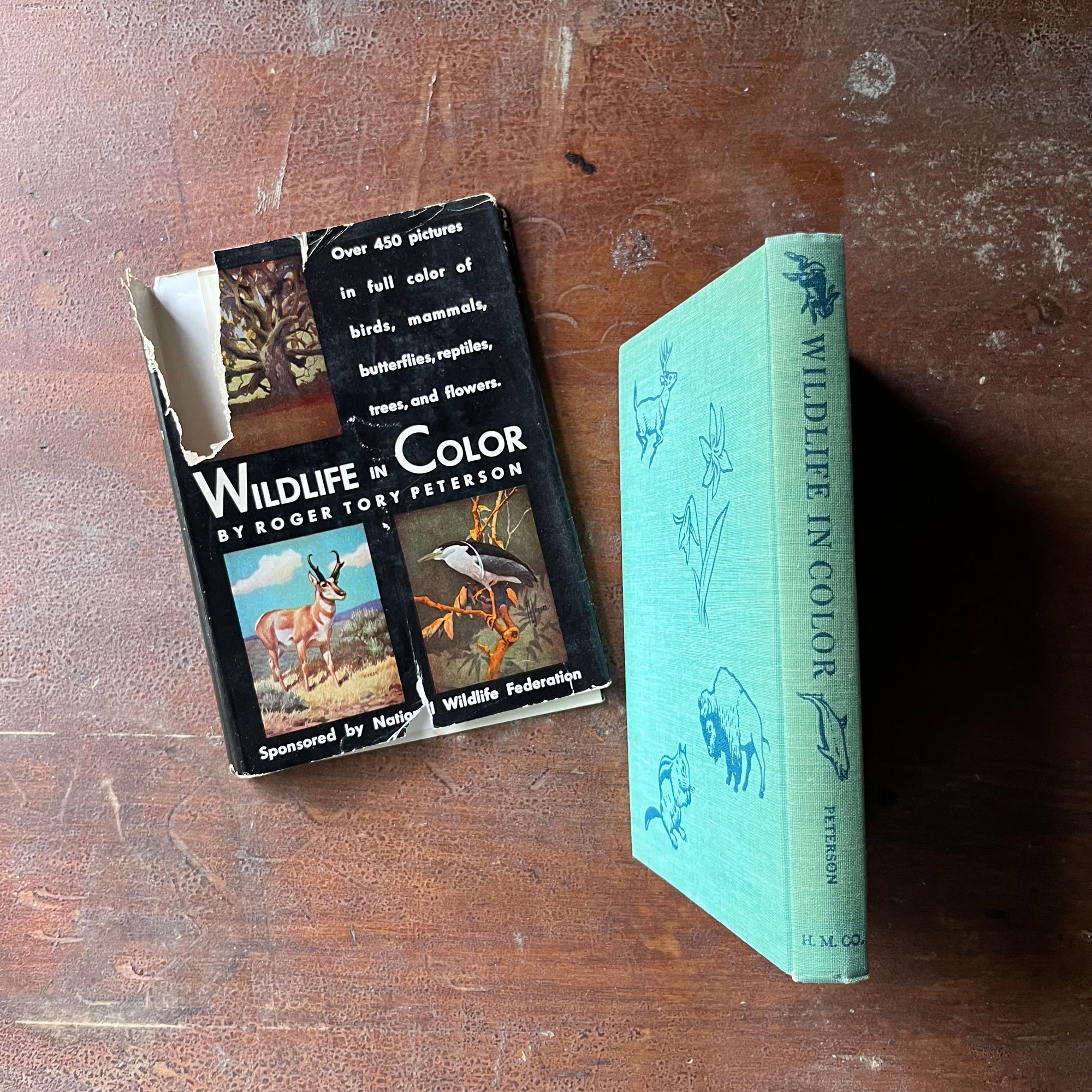 vintage nature guide - Wildlife in Color written & illustrated (includes other illustrators as well) by Roger Tory Peterson - sponsored by National Wildlife Federation - view of the spine with the title of the book & two illustrations