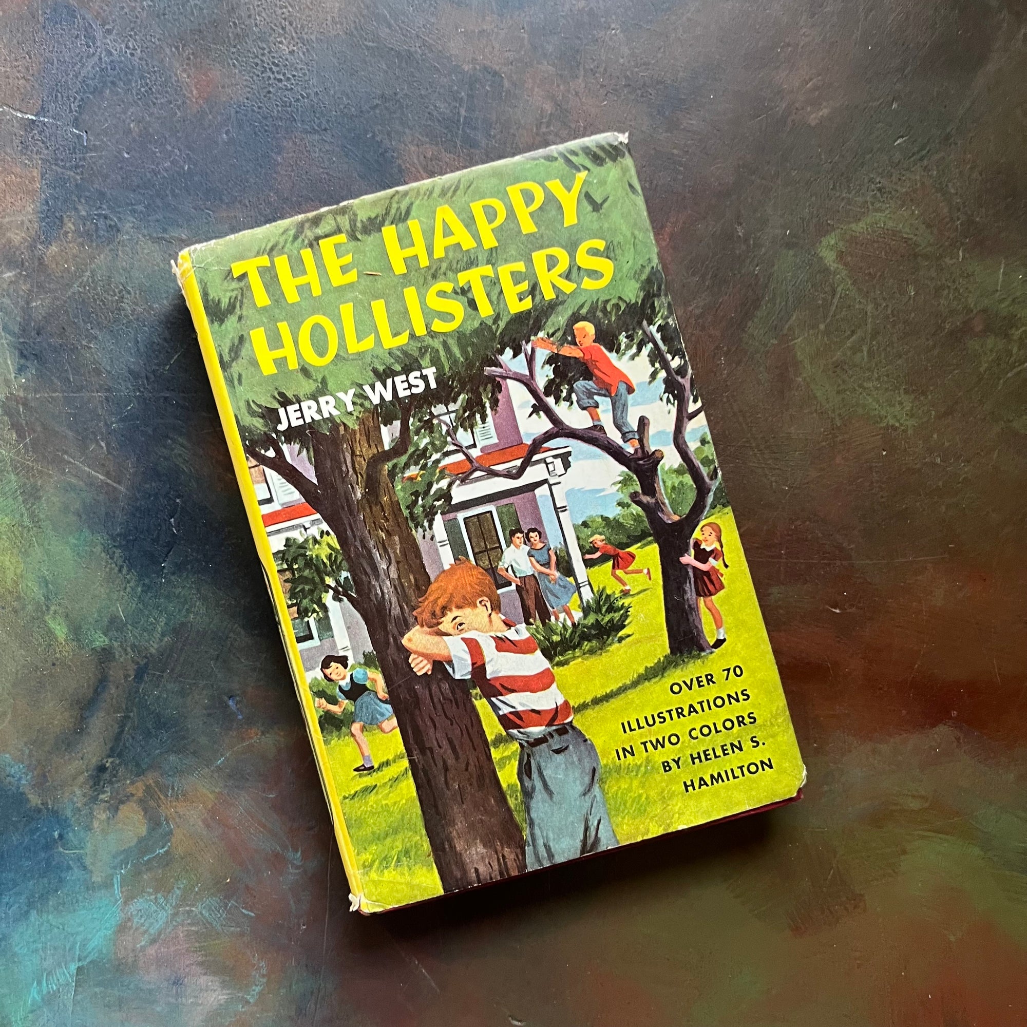 Happy Hollisters Vintage Children’s Mystery Book Series – Choose Your Title