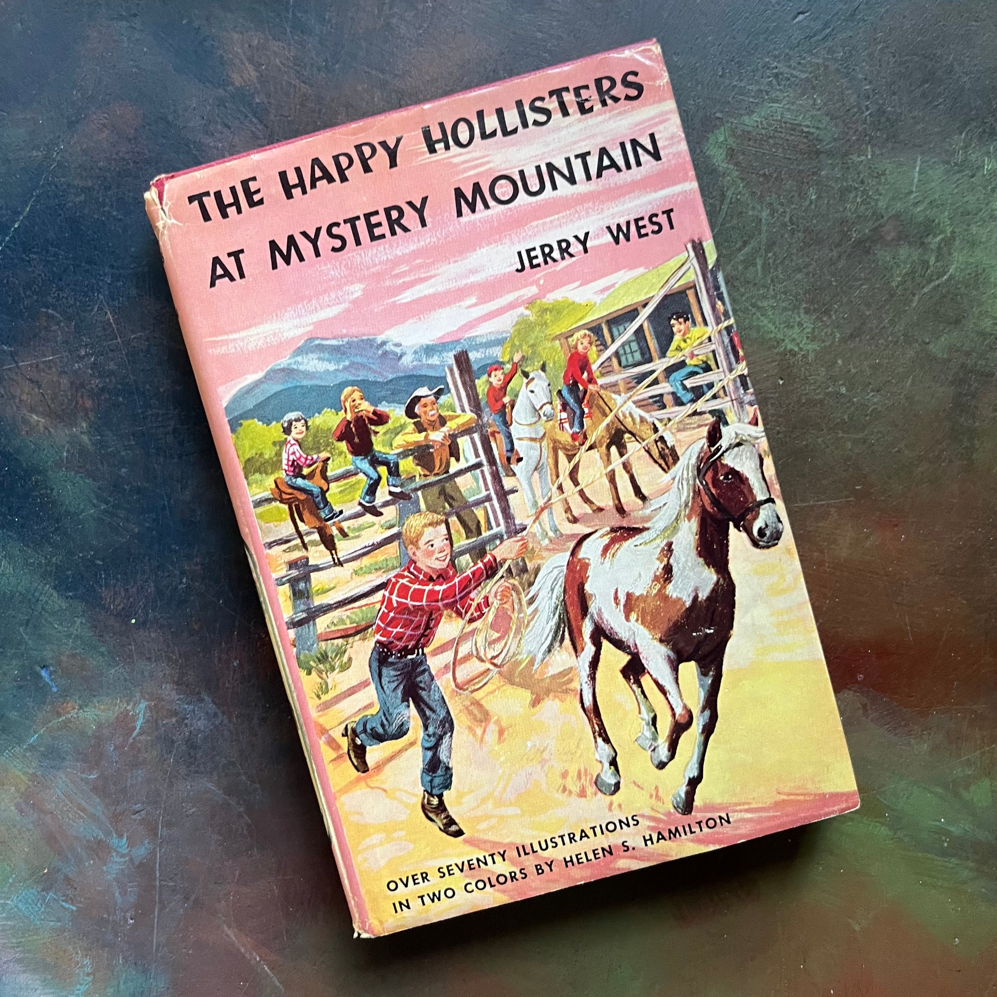 Happy Hollisters Vintage Children’s Mystery Book Series – Choose Your Title