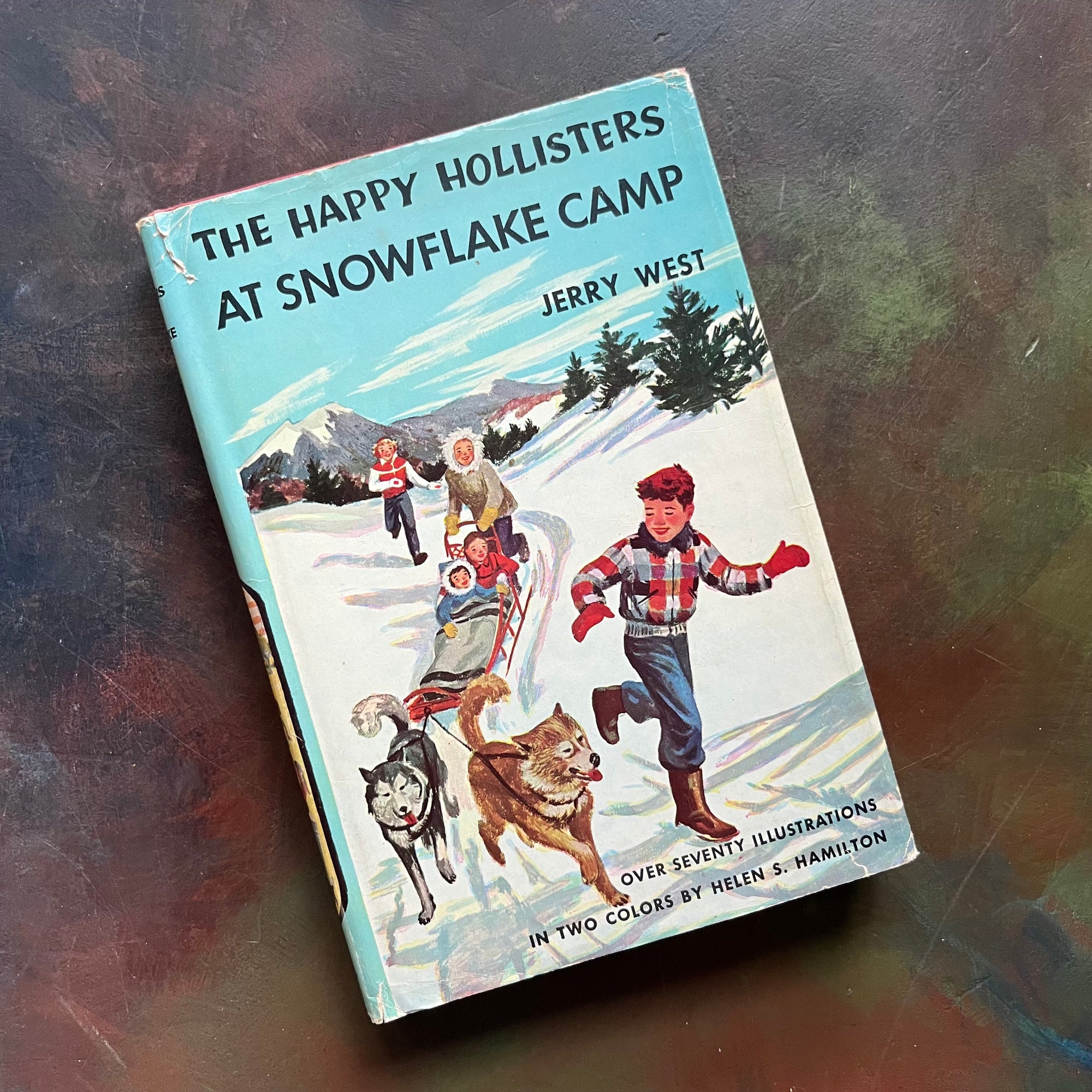 Happy Hollisters Vintage Children’s Mystery Book Series – Choose Your Title