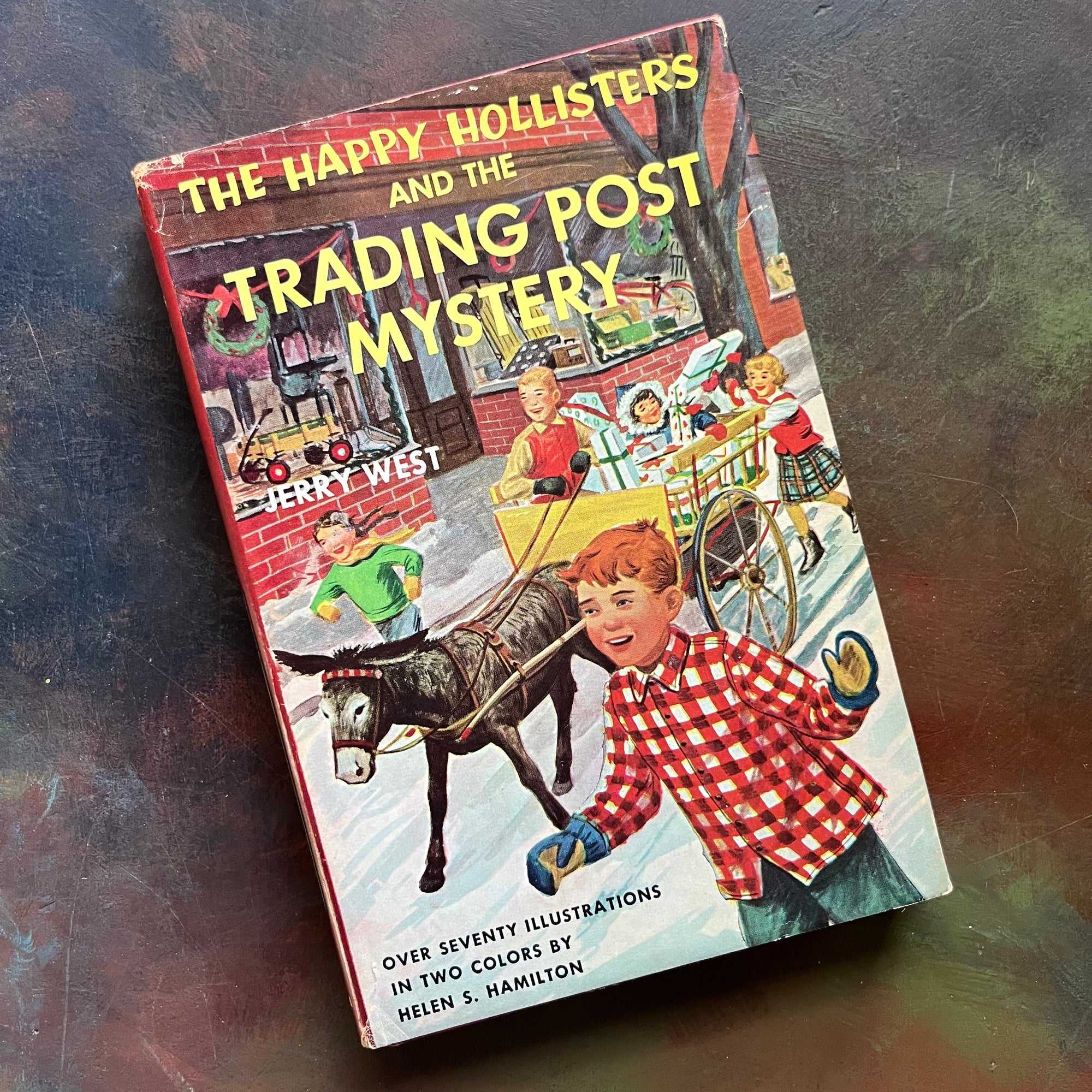 Happy Hollisters Vintage Children’s Mystery Book Series – Choose Your Title