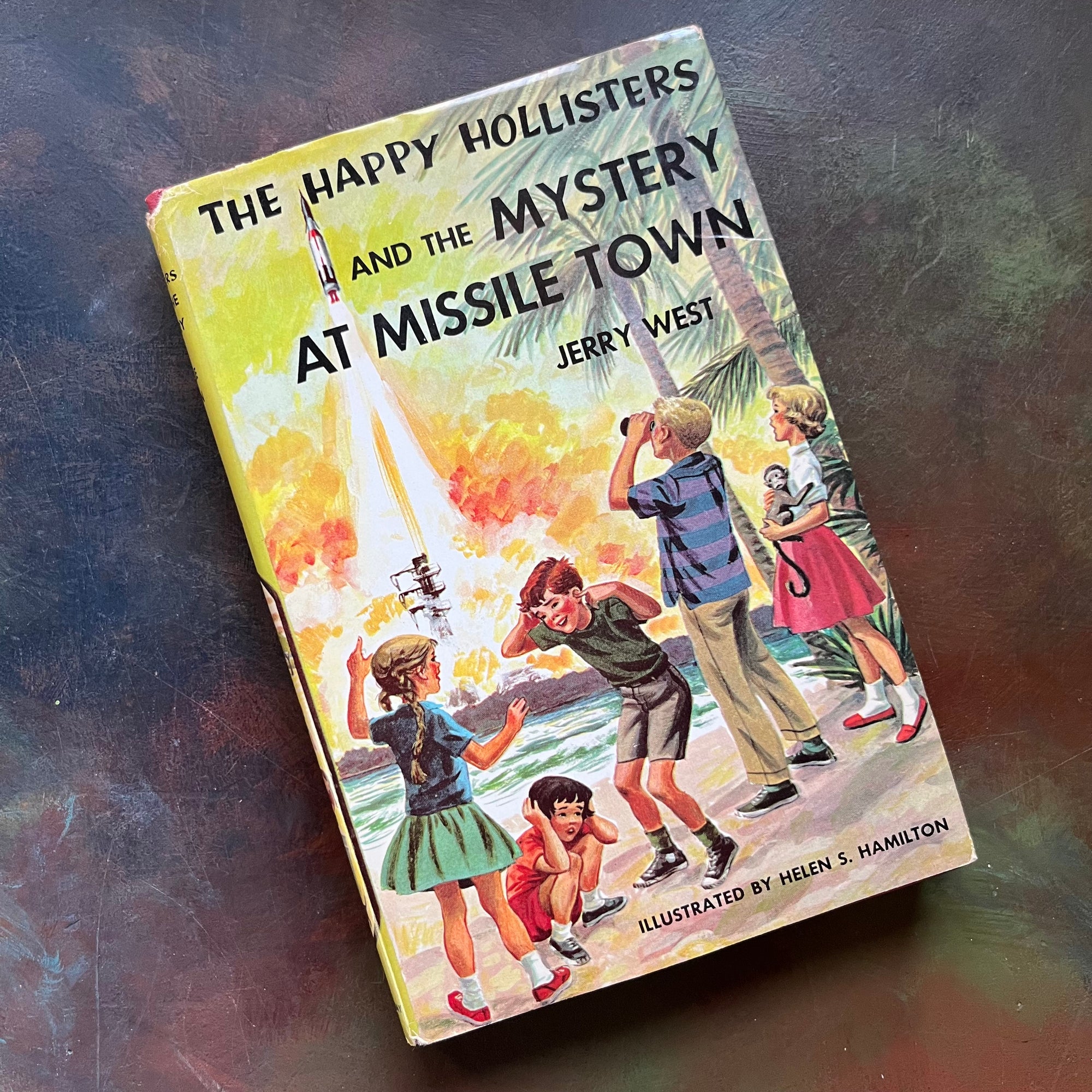 Happy Hollisters Vintage Children’s Mystery Book Series – Choose Your Title