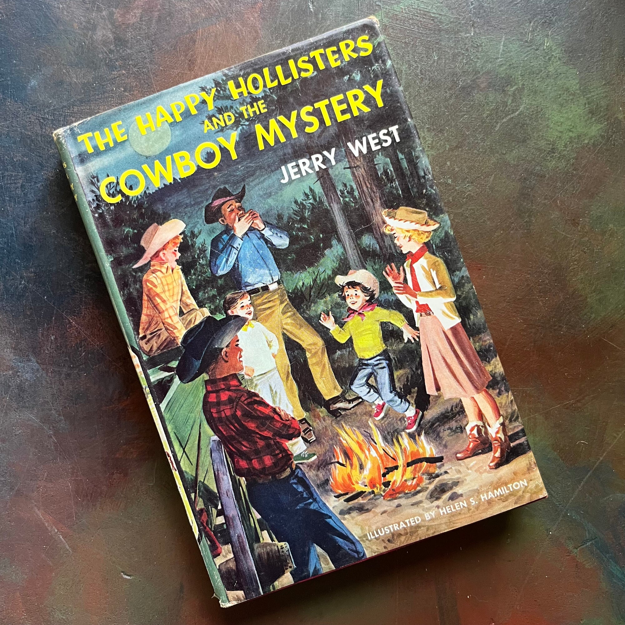 Happy Hollisters Vintage Children’s Mystery Book Series – Choose Your Title