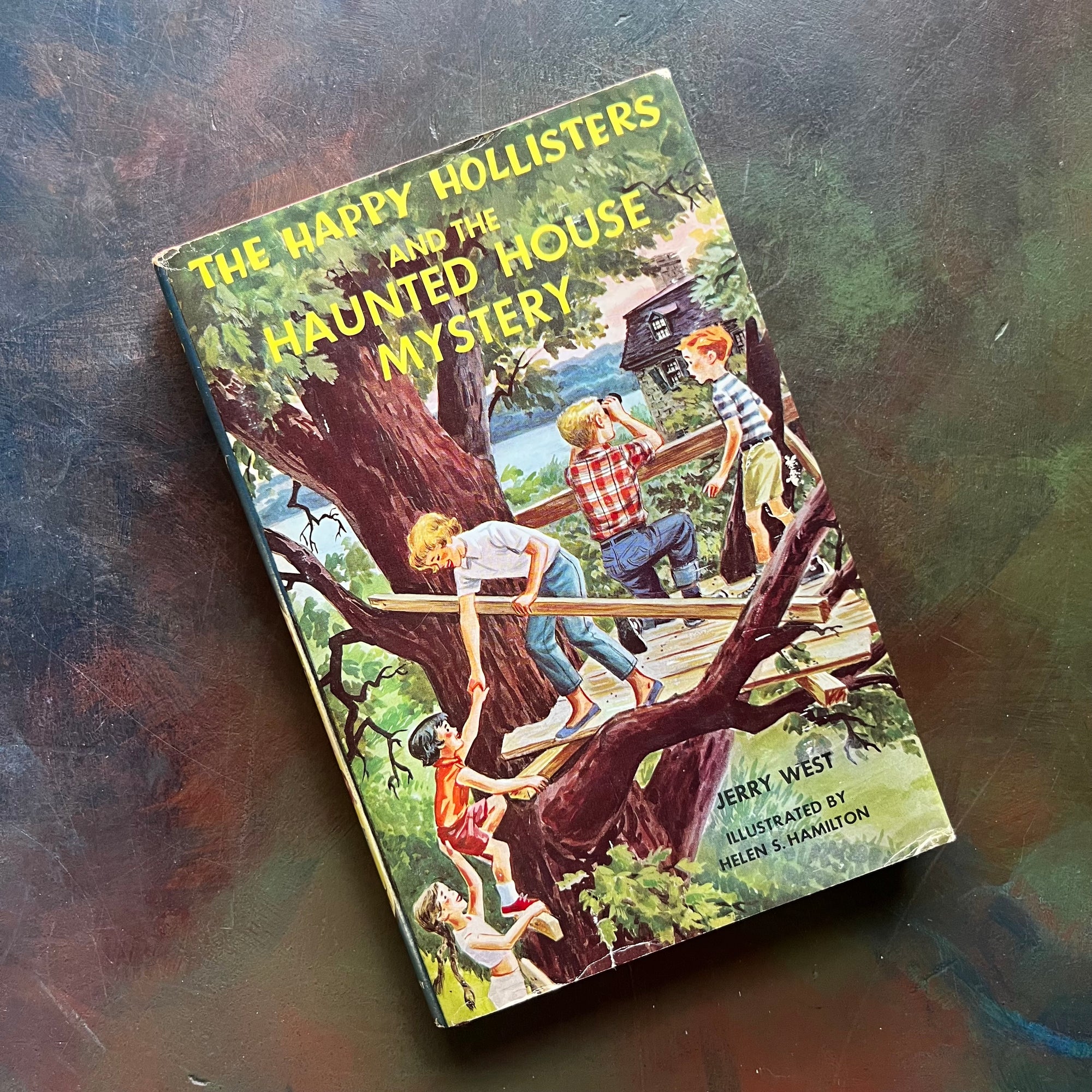 Happy Hollisters Vintage Children’s Mystery Book Series – Choose Your Title