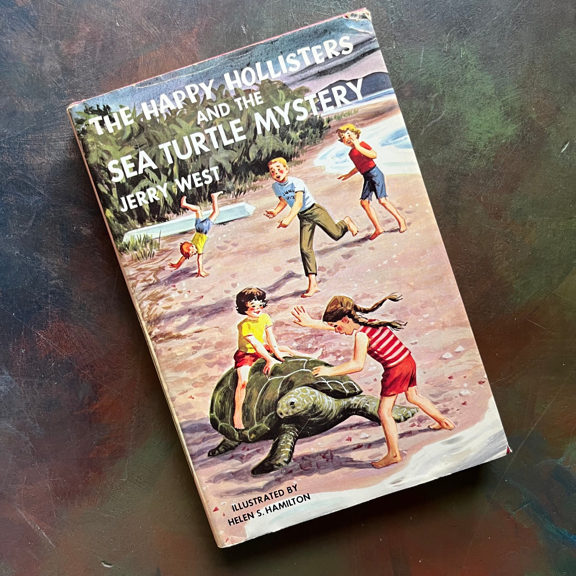 Happy Hollisters Vintage Children’s Mystery Book Series – Choose Your Title