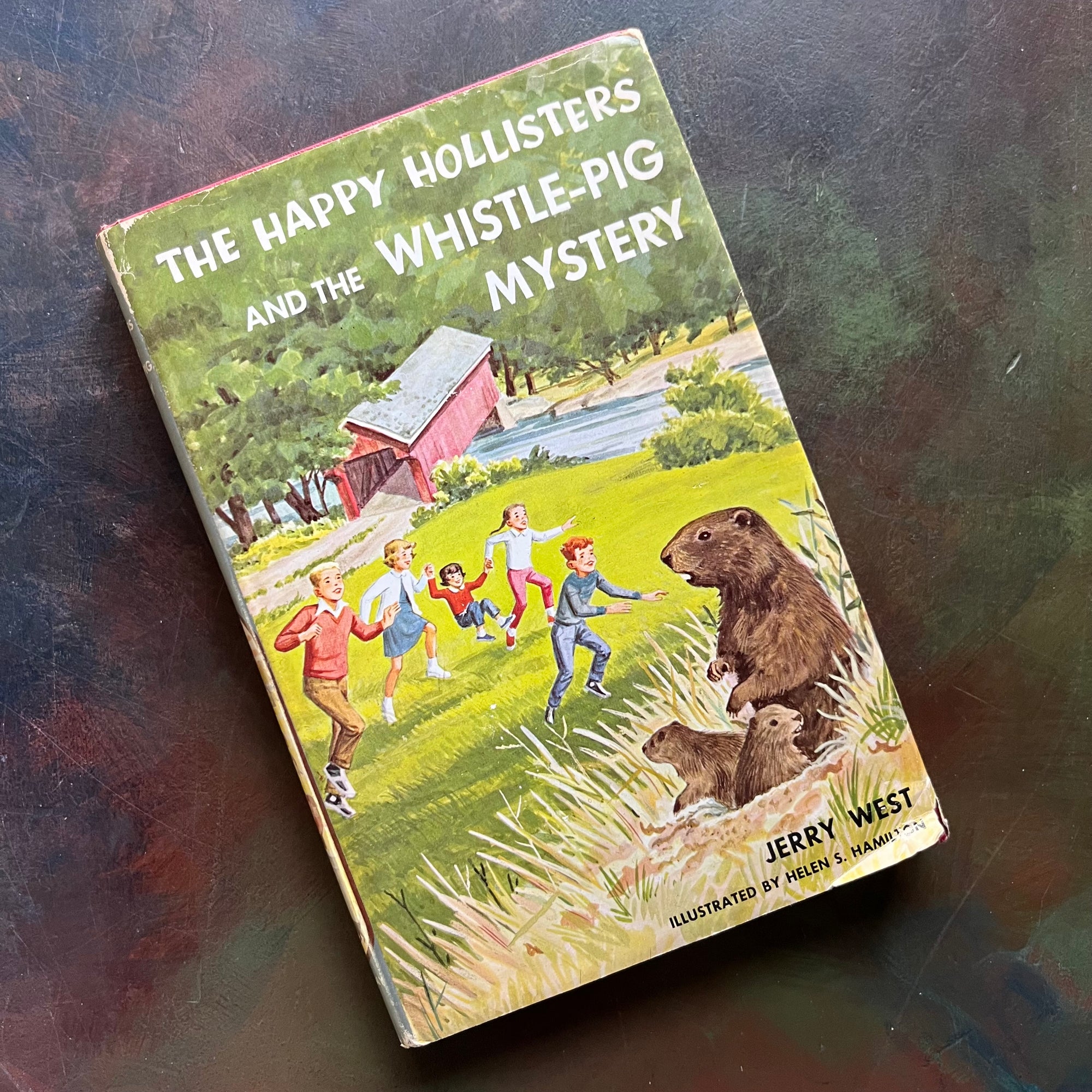 Happy Hollisters Vintage Children’s Mystery Book Series – Choose Your Title