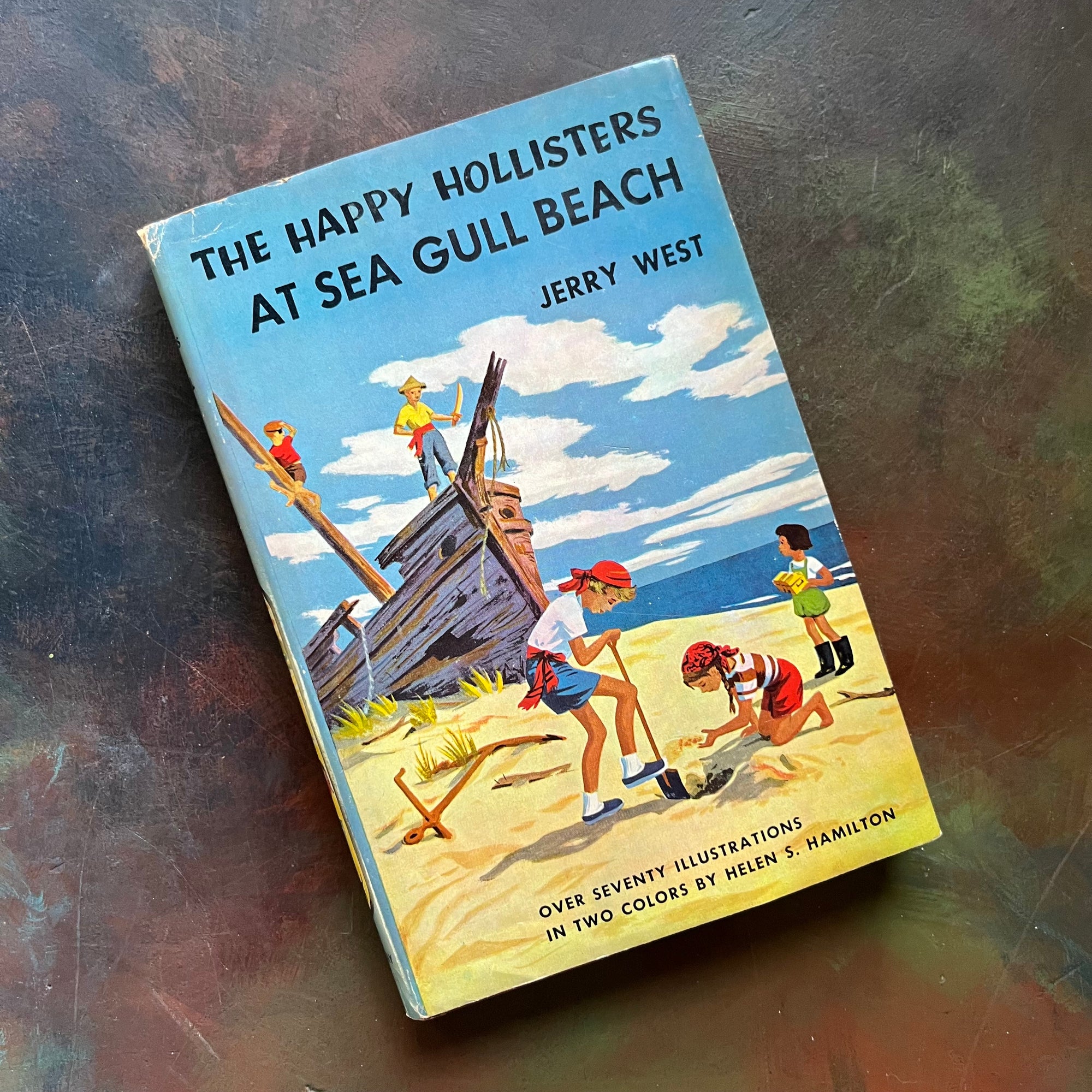 Happy Hollisters Vintage Children’s Mystery Book Series – Choose Your Title