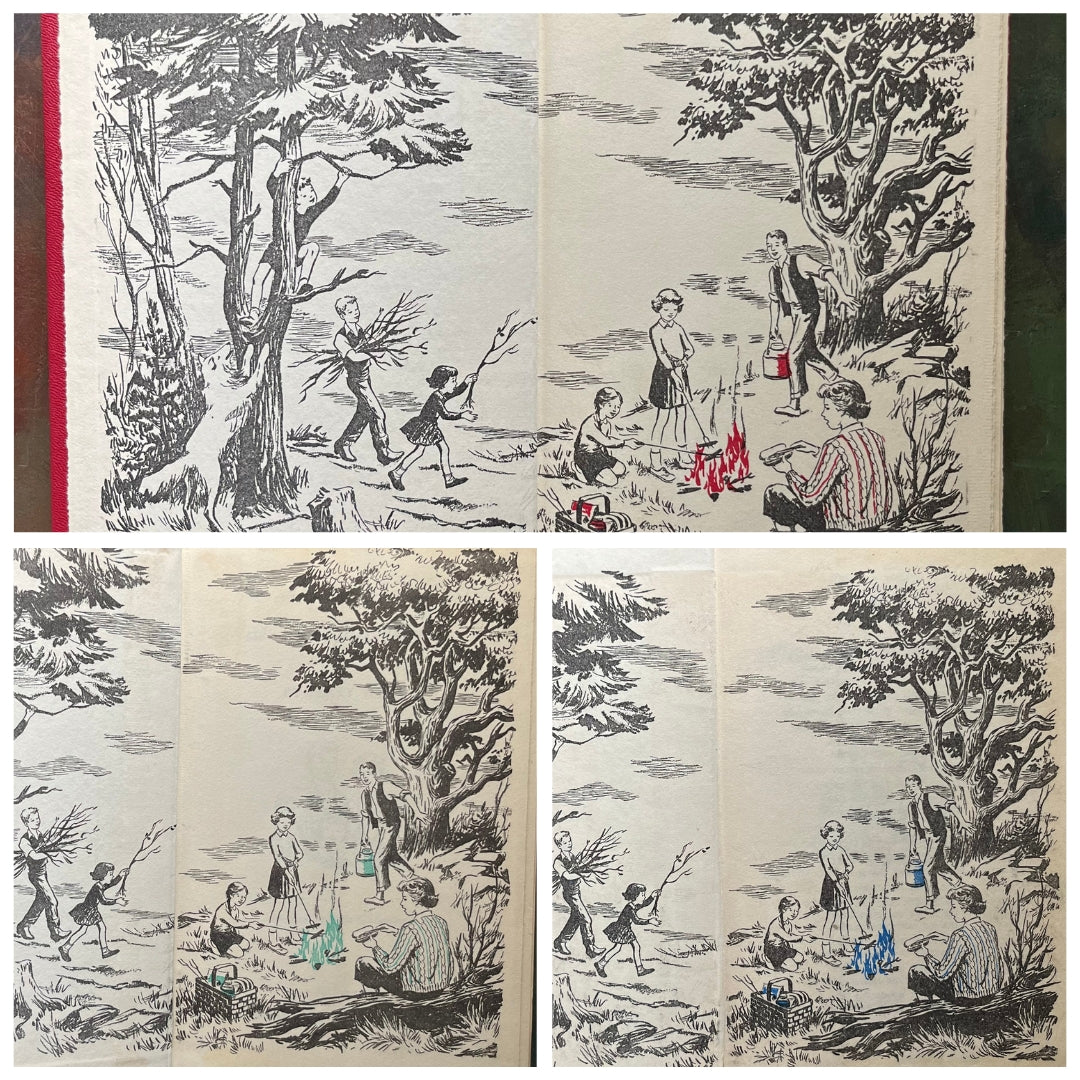 Happy Hollisters Vintage Children’s Mystery Book Series – Choose Your Title