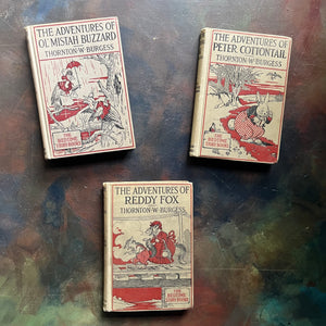 Set of three illustrated Thornton Burgess Bedtime Story-Books-The Adventures of Reddy Fox-The Adventures of Peter Cottontail, and The Adventures of Ol' Mistah Buzzard-vintage children's stories-vintage animal stories written by Thornton W. Burgess and illustrated by Harrison Cady - view of the front covers