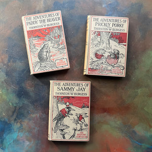 illustrated Thornton Burgess Bedtime Story-Books written by Thornton W. Burgess with illustrations by Harrison Cady-Sammy Jay-Paddy the Beaver-Prickly Porky-read aloud favorites-view of the front covers