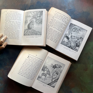 illustrated Thornton Burgess Bedtime Story-Books written by Thornton W. Burgess with illustrations by Harrison Cady-Sammy Jay-Paddy the Beaver-Prickly Porky-read aloud favorites-view of the illustrations