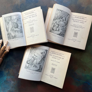 illustrated Thornton Burgess Bedtime Story-Books written by Thornton W. Burgess with illustrations by Harrison Cady-Sammy Jay-Paddy the Beaver-Prickly Porky-read aloud favorites-view of the title pages