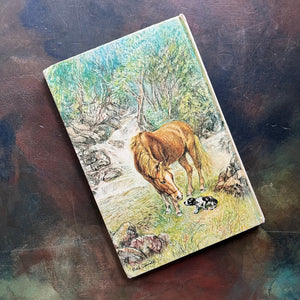 Runaway Pony, Runaway Dog written by Ruth and Latrobe Carroll with illustrations by Ruth Carroll-vintage weekly reader early chapter book-view of the back cover with an image of the little dog shivering next to a stream with the pony looking down at it 