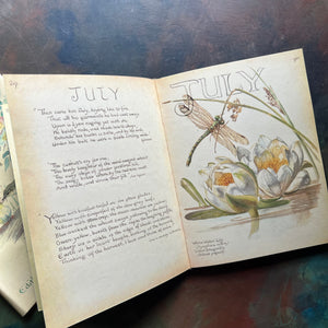 vintage nature sketchbook & diary - The Country Diary of An Edwardian Lady written & illustrated by Edith Holden-a yearlong nature study of the English Countryside in the year 1906-view of the full-page illustration found to welcome the month of July.