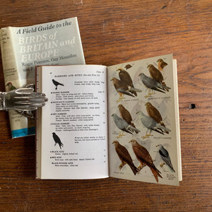 A Field Guide to the Birds of Britian - Illustrations