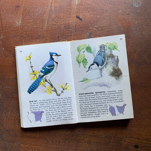 A Golden Nature Guide Hardcover Edition - Birds - full color illustrations