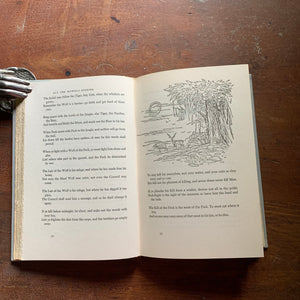 All The Mowgli Stories - Junior Deluxe Editions - Illustrations