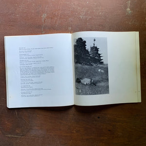 Log Cabin Vintage - art history book, art book, vintage art book - Andrew Wyeth Exhibition Pennsylvania Acadamy of the Fine Arts - 1966 Book