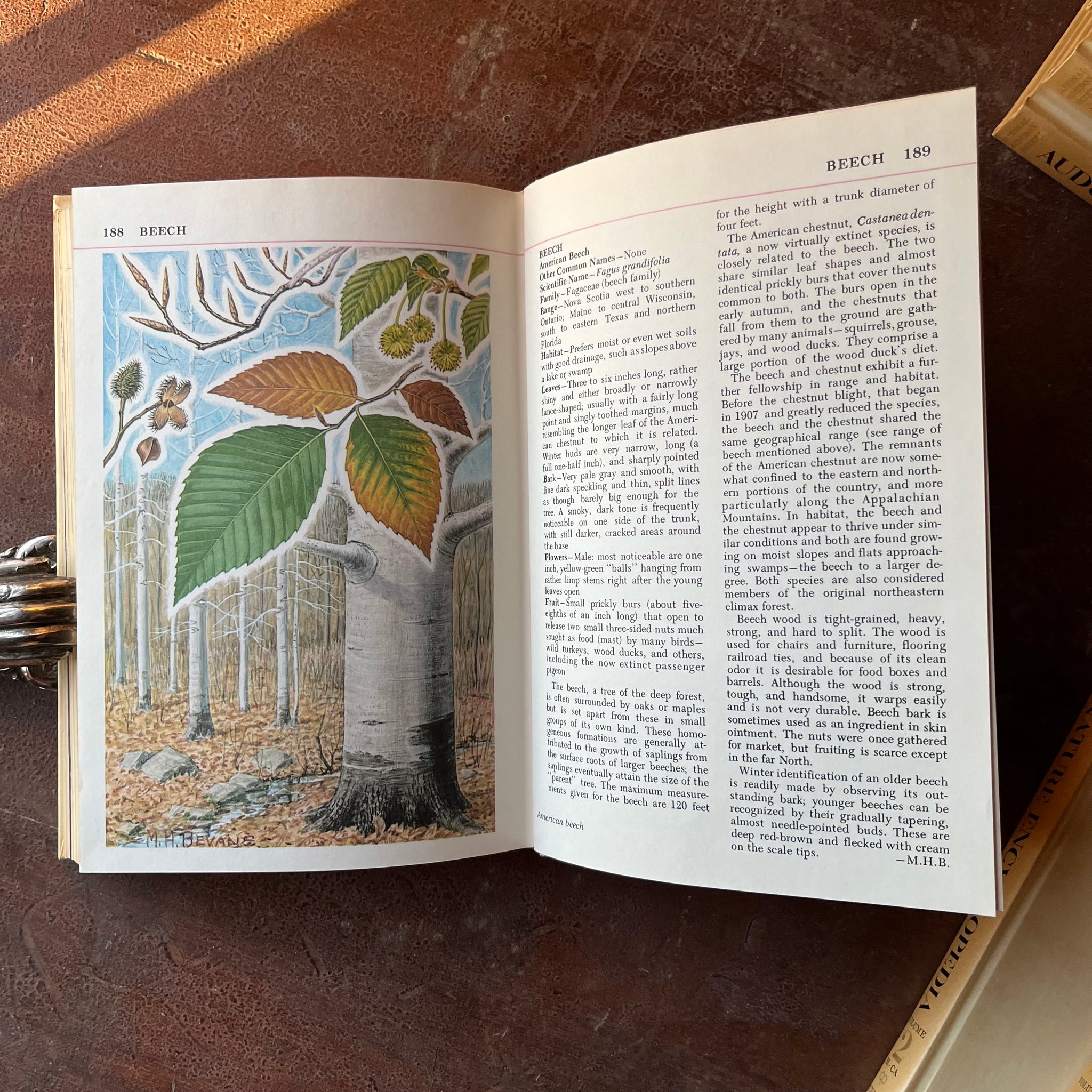 Audubon Nature Encyclopedia Complete 12 Volume Set 1965 Edition Log