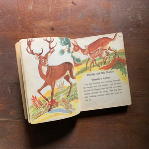 Faraway Ports - Easy Growth in Reading Third Reader Level One - Full Color/ Full Page Illustrations