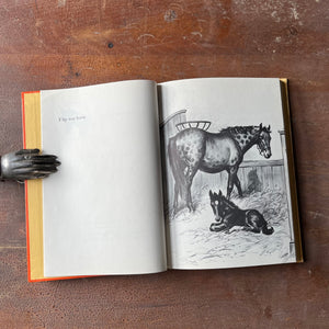 Log Cabin Vintage - vintage children's book, children's book, picture book, Read Me a Story Program – Flip Story and Pictures by Wesley Dennis - I'm Tired of the Lions Story and Pictures by Zhenya Gay - view of the full-page illustrations in Flip