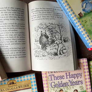 Log Cabin Vintage – vintage children’s book, children’s book, chapter book, Little House on the Prairie by Laura Ingalls Wilder with illustrations by Garth Williams – Little House on the Prairie Box Set - view of the illustrations in Farmer BoyLittle House on the Prairie Complete Book Set-Laura Ingalls Wilder-Plaid Covers & Spines-Garth Williams-children's chapter books-view of the illustrations