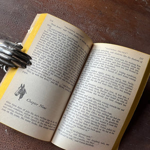 Log Cabin Vintage – vintage children’s book, children’s book, chapter book – National Velvet by Enid Bagnold - view of the inside text