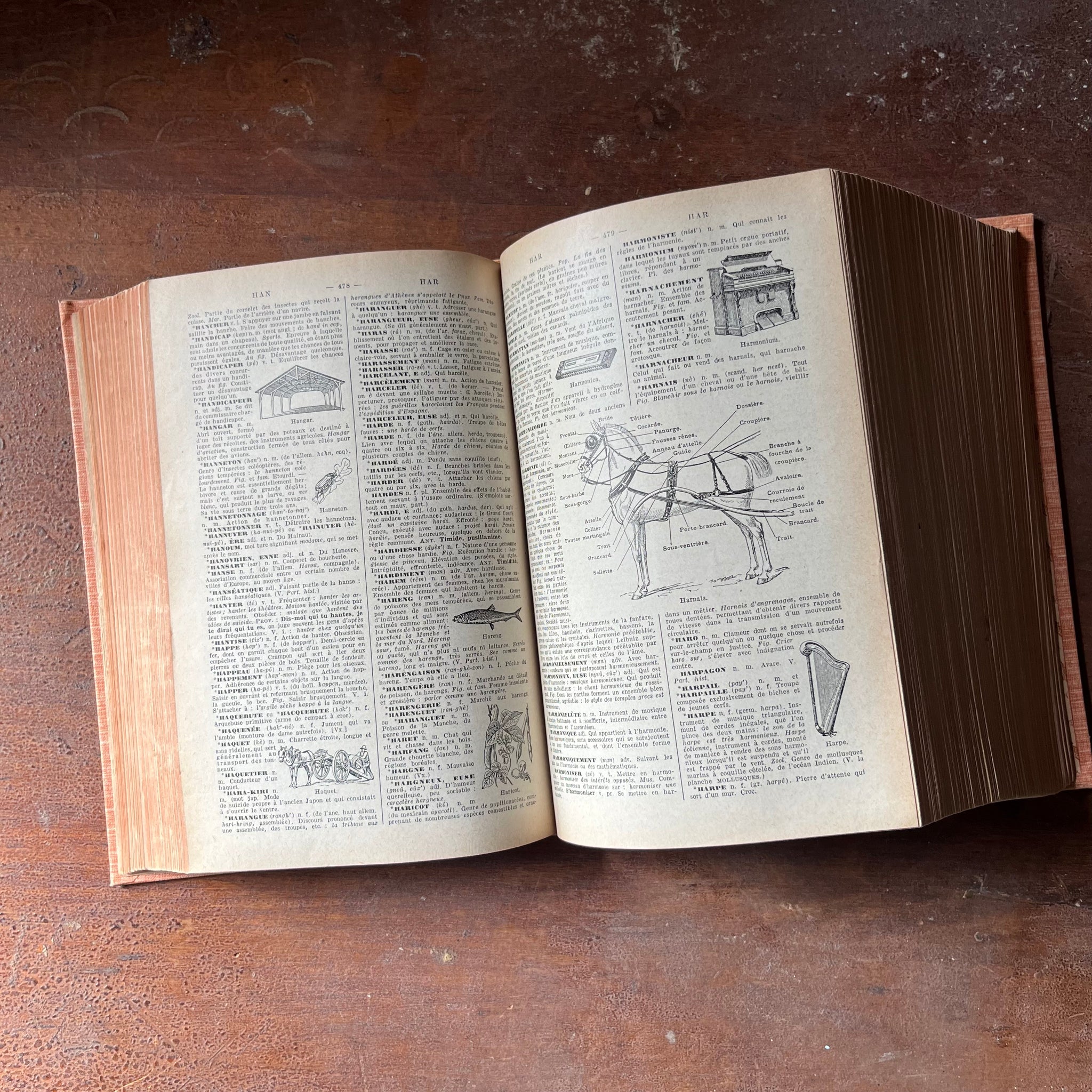 Nouveau Petit Larousse Illustre Dictionnaire Encyclopedique 1955 Fren