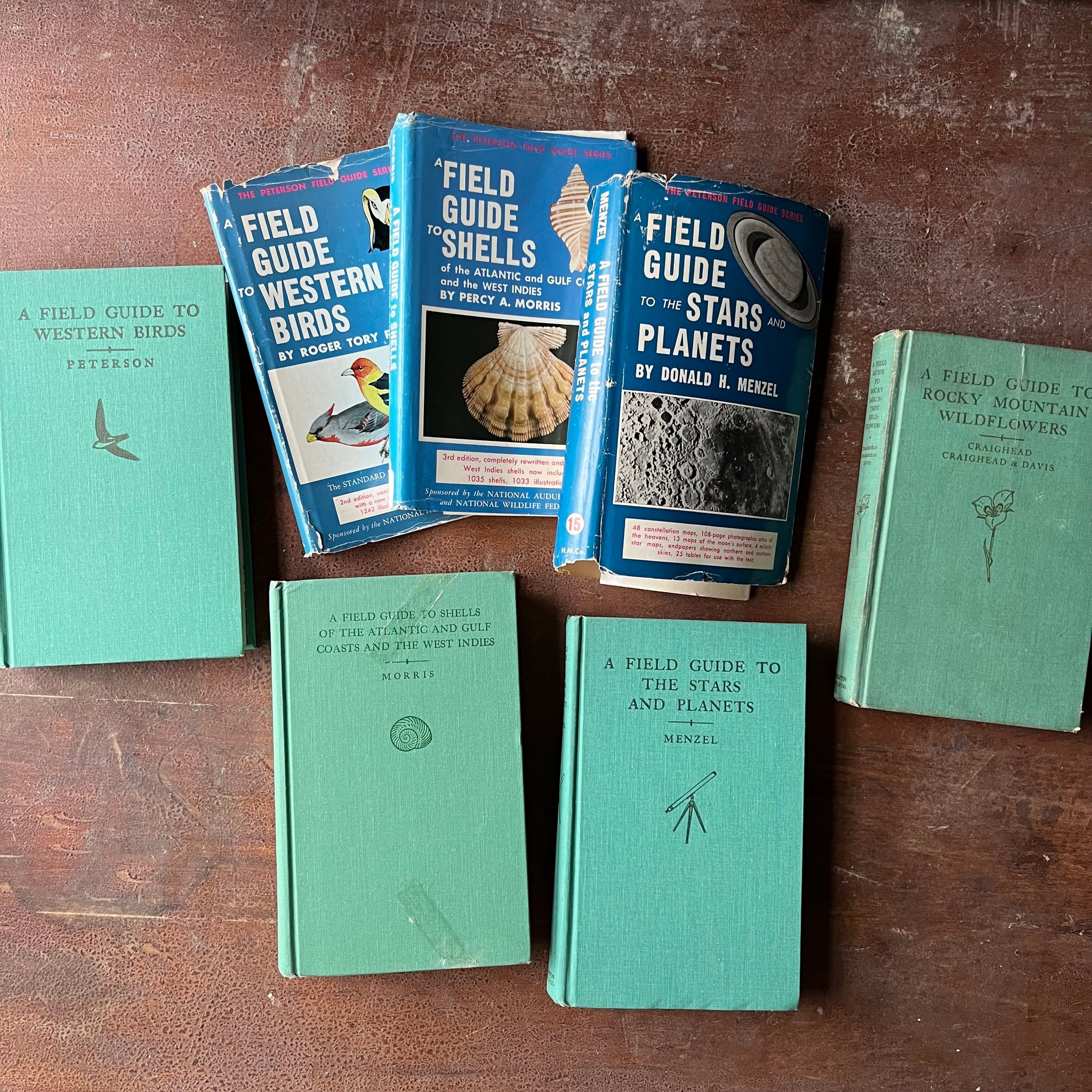Shells Field Guide Peterson Field Guides by Roger Tory Peterson - Shells, Birds, Wildflow ...