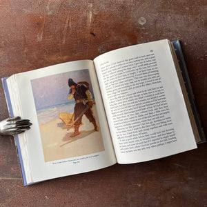 Log Cabin Vintage – vintage children’s book, children’s book, chapter book, Children's Classics Edition - Robinson Crusoe by Daniel Defoe - a 1990 Children's Classic Edition - view of the full-color, full-page illustrations by N.C. Wyeth