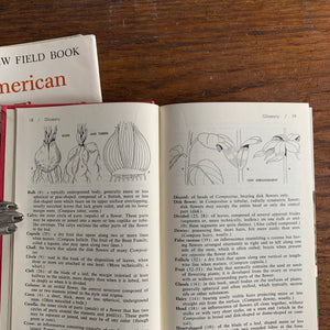 The New Field Book of American Wild Flowers by Harold William Rickett - A Putnam Nature Field Guide - inside Content