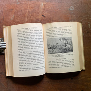 The Work of Scientists 1935 Vintage Book - Inside Text