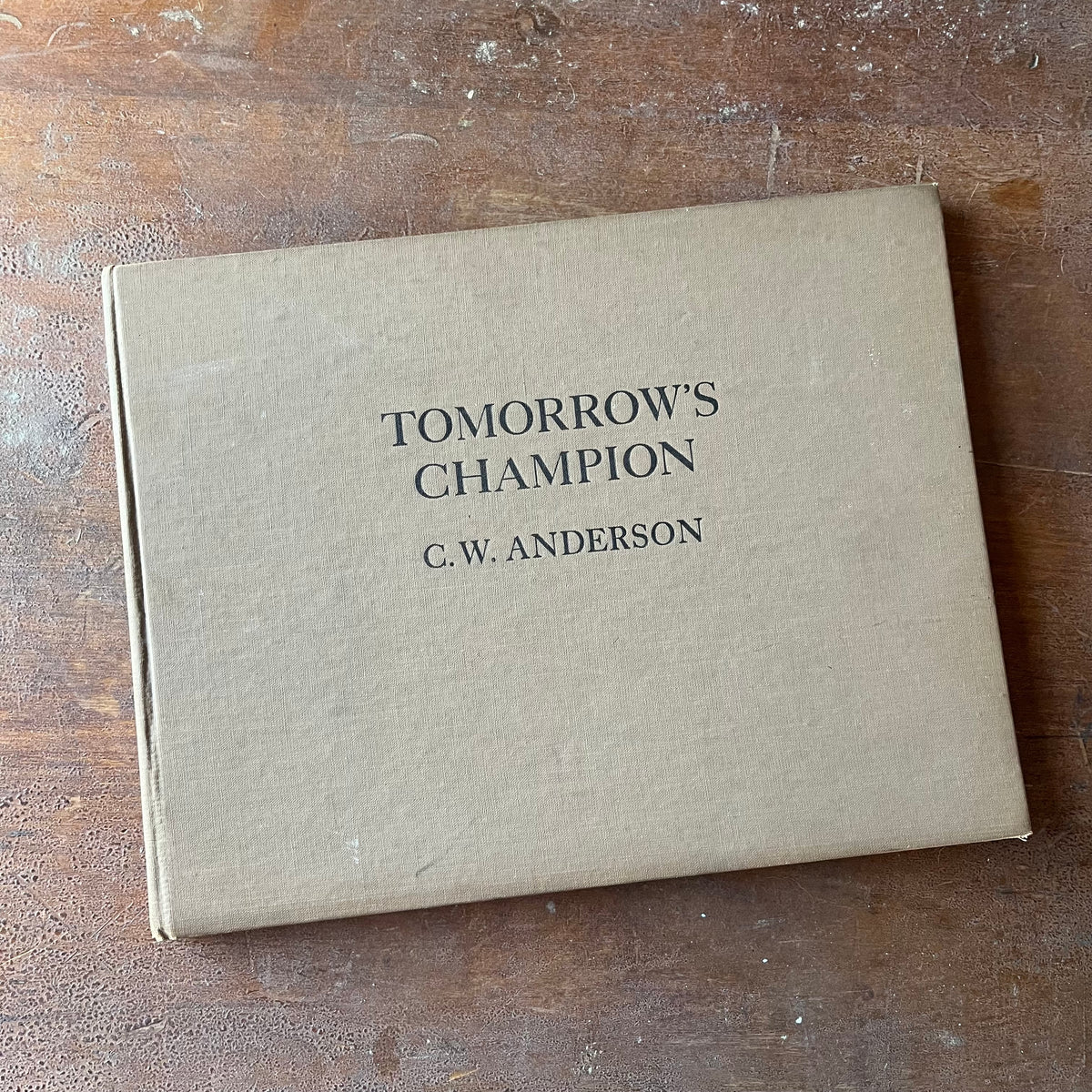 Log Cabin Vintage - Non Fiction, vintage book, book on horses, thoroughbreds, C. W. Anderson - Tomorrow's Champion Text and Lithographs by C. W. Anderson - view of the front cover